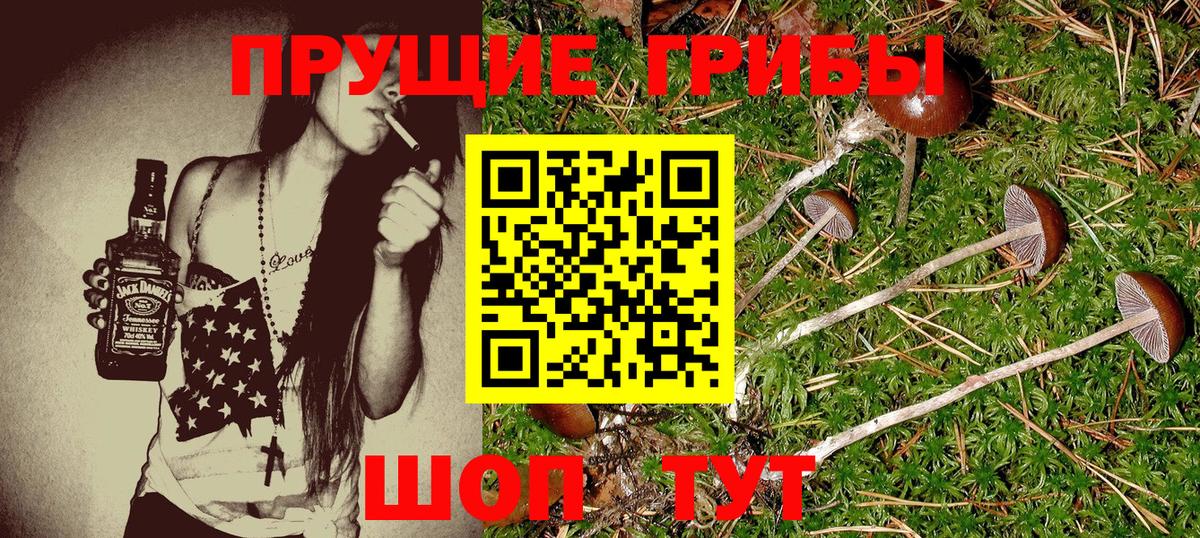 Галлюциногенные грибы мухоморы Усть-Кут