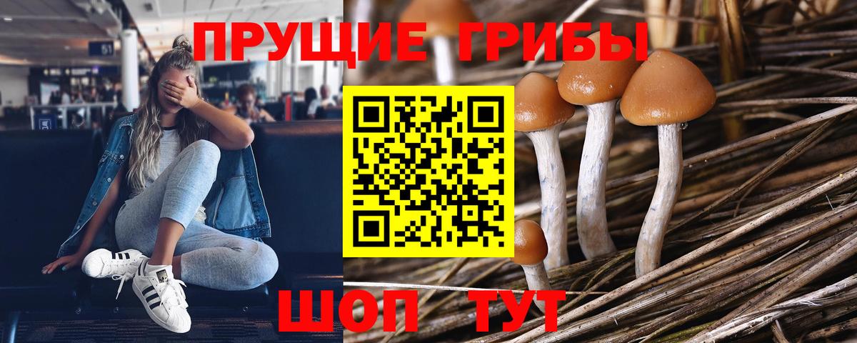 Галлюциногенные грибы GOLDEN TEACHER  Псилоцибиновые грибы Psilocybe  Вход с VPN  Усть-Кут 