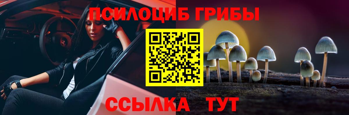 Галлюциногенные грибы прущие грибы Усть-Кут